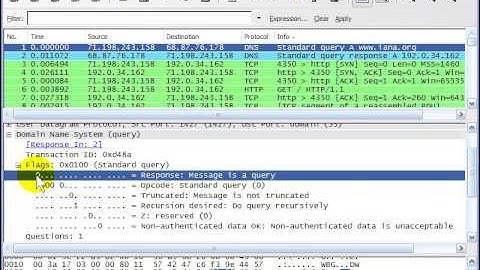Wireshark TCP-IP Network Analysis WSU02 02 dns
