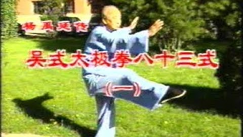 Wu Style Taiji 83 forms