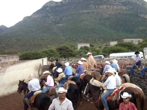 coleadera en panuco durango