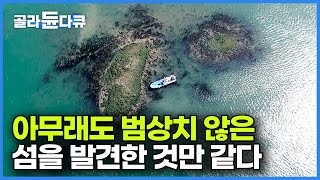 일 년에 반 이상은 바다 아래 가라앉은 섬. 일 년에 딱 한 번 부부가 섬을 찾는 이유┃1년 치 온갖 해산물 꺼내 먹는 해루질 부부의┃봄 바다 한 그릇┃한국기행┃#골라듄다큐