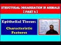 Characteristics Features of Epithelium | Structural Organisation in Animals | NEET Bio | Part - 4