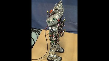 Gravity Compensation Control of Compliant Joint Systems with Multiple Drives