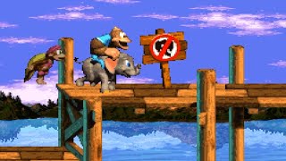 DKC 3: Dixie's Double Trouble - twice the summer fun