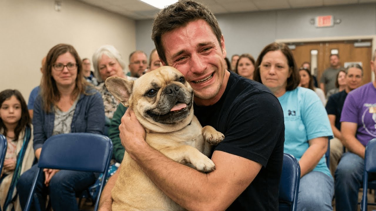 Когда собаки сами выбирают, кому их взять – момент, который растопит ваше сердце.