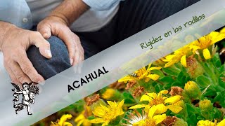 ¡Acaba con la rigidez en las rodillas! Prueba el ACAHUAL