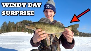 Best Lures for Winter/Ice Fishing Walleye 