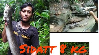 eel fishing in Bali!!! ..Hard strike from monster eel..