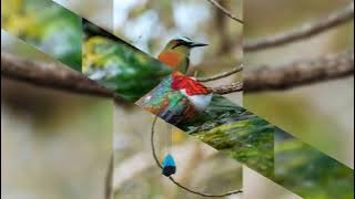 Mariana Aguiar, ALGO NOVO 🙏🙏🕊