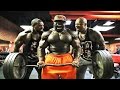 MONSTA BICEPS + Thai + The Beast| Kali Muscle