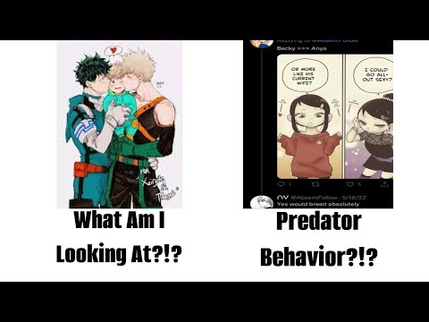 The Issues With The Anime Community