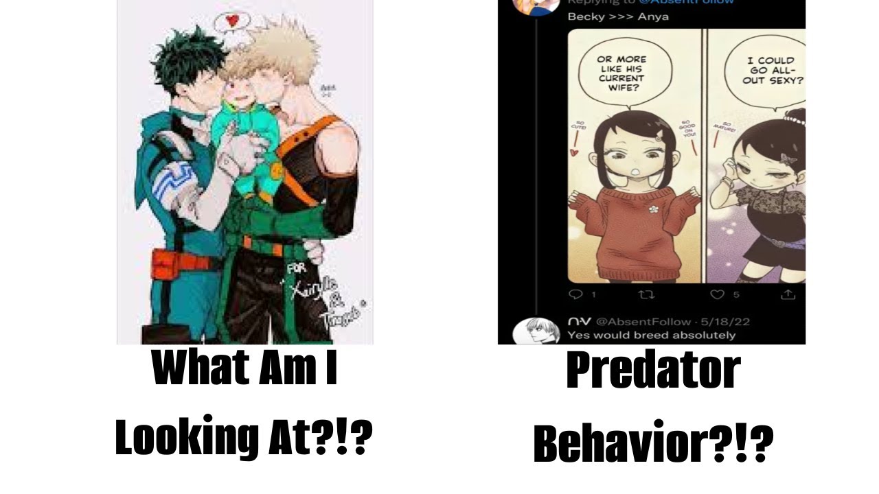 The Issues With The Anime Community