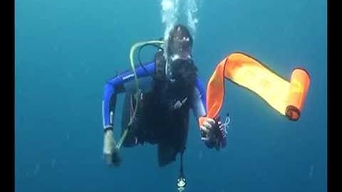 How to use the Webbing Deployment System WDS