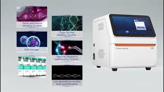 The Workflow of D20 Automatic Digital PCR System Wealth