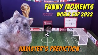 Funny Hamster Videos to MAKE Your Day BETTER!! [Special PART 4] by Have you seen my hamsters? 84 views 2 months ago 4 minutes, 8 seconds