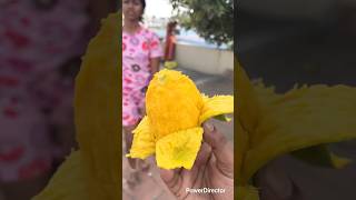 #randomday #mangoseason #family #grandparents #vacation #fun