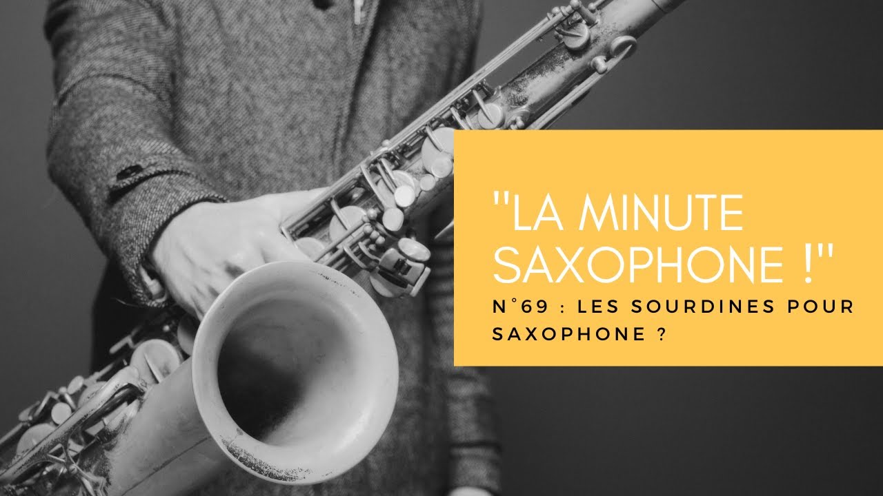 Sourdine de Saxophone Alto, Amortisseur en alliage d'aluminium Outil Bruit  faible pour Saxophone Alto : : Instruments de musique et Sono