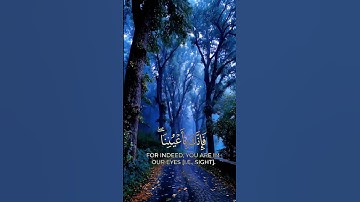 فاصبر صبرا جميلا... #تلاوة_خاشعة #ماهر_المعيقلي #صوت_عذب #استغفر_الله
