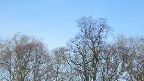 3D Flying with Mini Titan - Including first time tic-toc and short inverted hover!