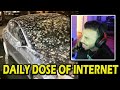 Hamlinz reacts to Daily dose of Internet Videos