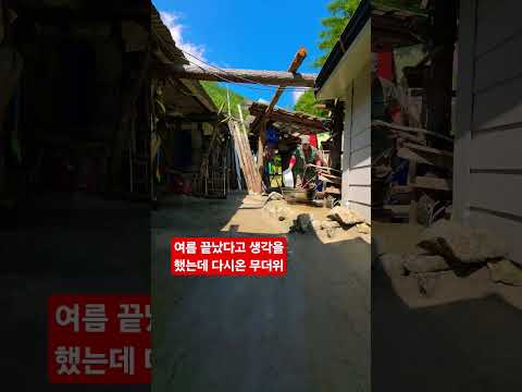 <strong>여름</strong>  끝났다 생각했더니  덥네요 ᆢ