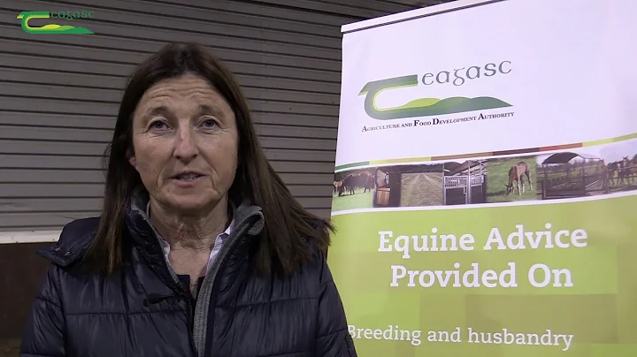 Breeding the high  performance horse - interview w...