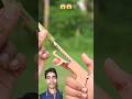min bamboo creation with mini Gun #bamboo #bamboo1 #toys #diy #slingshots #trending #funny #viral