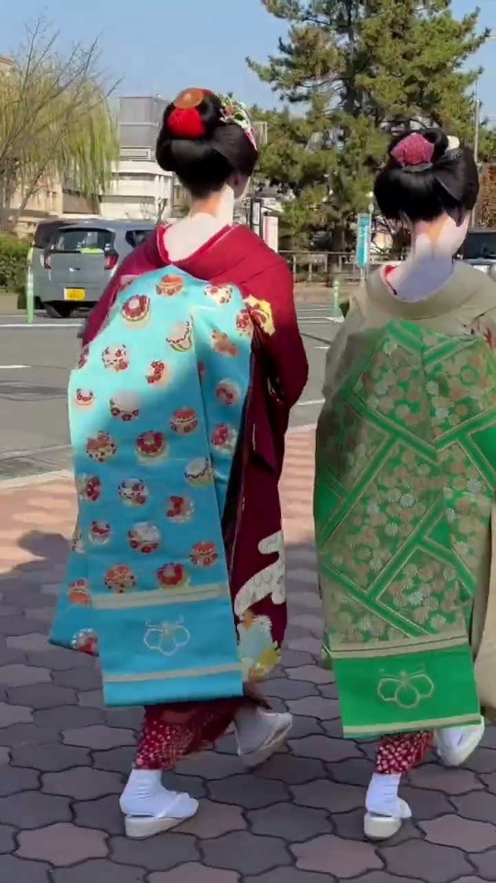 宮川町のだらりの帯の舞妓さん #京都 #舞妓 - YouTube