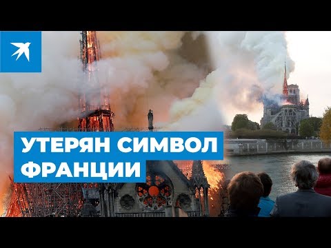 Собор Парижской Богоматери: история утраченного символа Франции