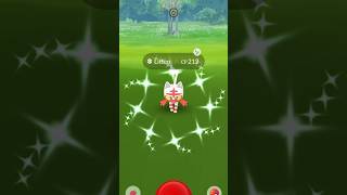 When I Caught The First Shiny Litten Of The Day