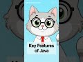 key features of Java