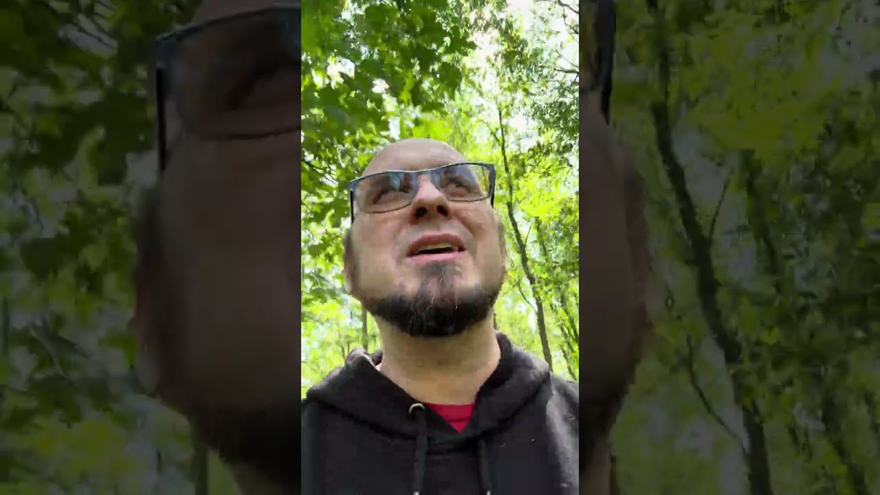 Обновление за июнь 2025 г.