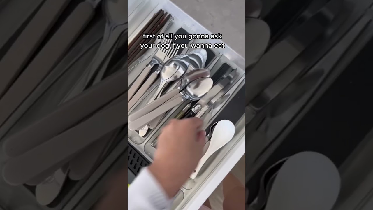 How to feed a toothless dog 😤 Just ask them if they want to eat 😅 