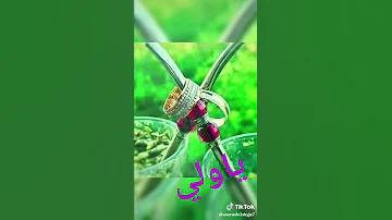 تفضلو معى نشرب متة 