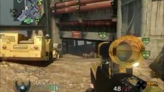 COD Black Ops: Gold G11 Domination(52-9)