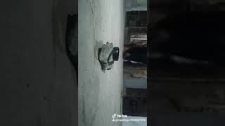 VID-20181125-WA0005.mp4