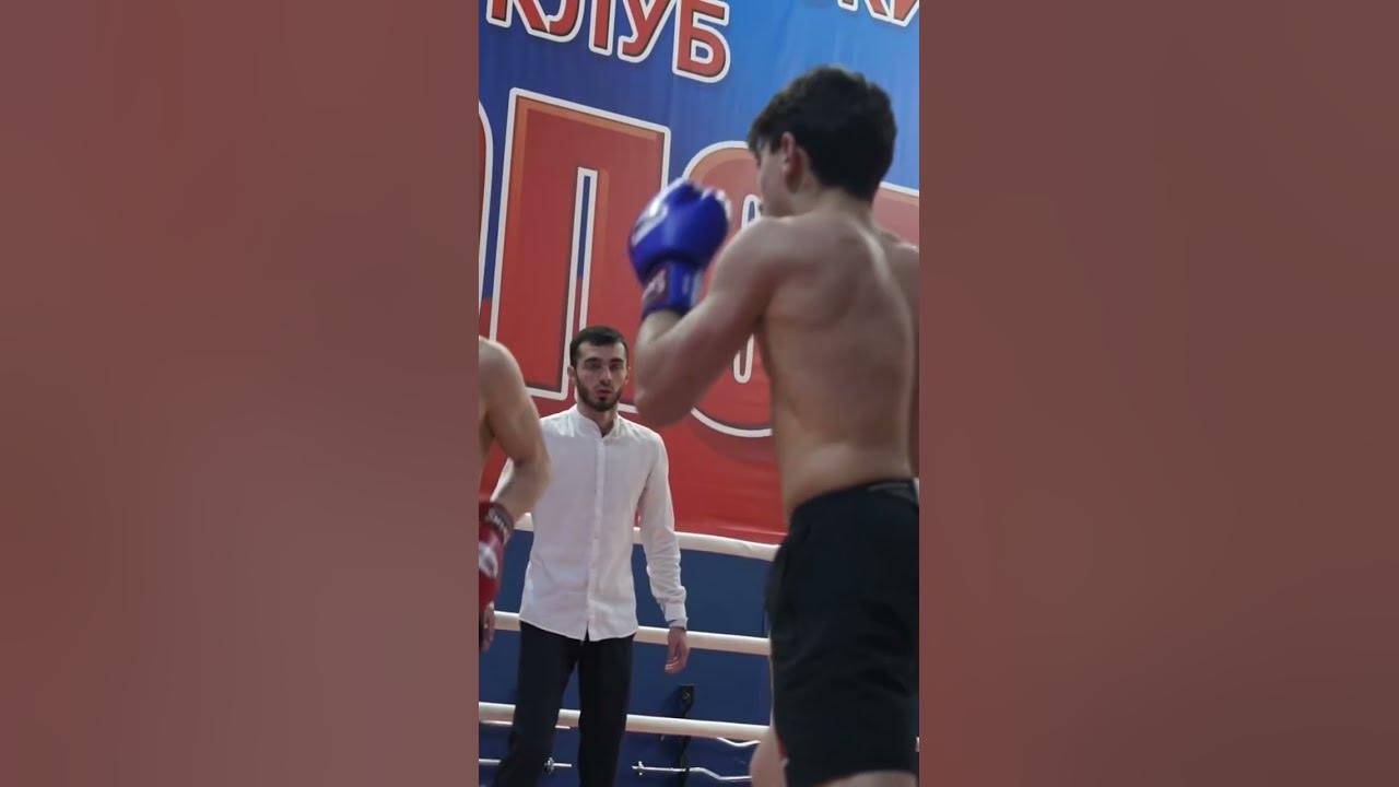 Бои без правил Давид Хачатрян