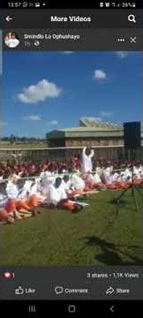 Bezijabule iziboshwa kufika uNyazi lwezulu eQalakabusha empangeni