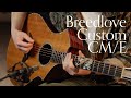 Breedlove Custom CM/E, Macassar Ebony | Weston Stewart