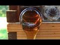 Flow™ Hive honey harvesting