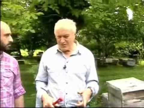 ფუტკრის პროდუქტები - Chveni Ferma 02 - Mefutkreoba Part 2