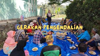 #DiaryPenyuluhPertanian : Gerakan Pengendalian (Gerdal) Hawar Daun Bakteri