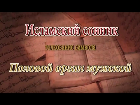 К чему снится Половой орган мужской сонник, толкование сна