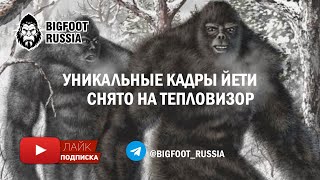 Снежный человек. 10 минут уникальной съемки с тепловизора