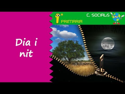 Vídeo: A la terra què causa el dia i la nit?