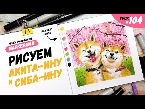 Как нарисовать акита-ину и сиба-ину? / Видео-урок по рисованию маркерами #104