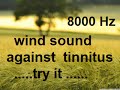 10 minutes wind at 8000 hz as sound therapy for tinnitus