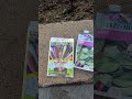 If you build it, they will come #garden #plants #backyard #outside #fun #pov