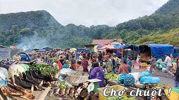 CHUỘT RỪNG & THÚ RỪNG ĐƯỢC BÀY BÁN MỘT CÁCH CÔNG KHAI LA LIỆT TẠI CHỢ PHIÊN NẬM CẮN BÊN NƯỚC LÀO