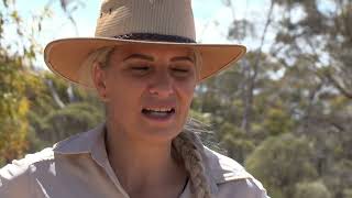 Aussie Gold Hunters: Mine SOS