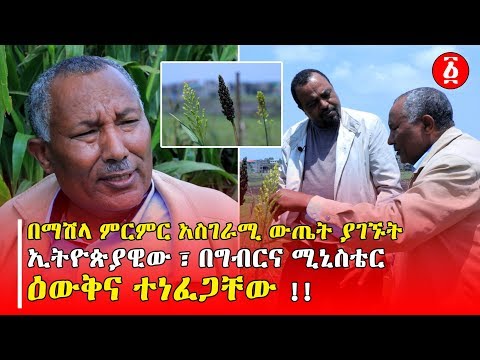 ቪዲዮ: ነፃ የስነ -ልቦና ሕክምና